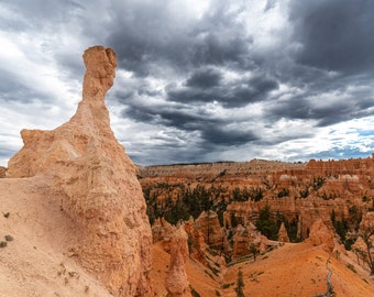 Descarga digital del parque nacional Bryce Canyon, imprima su foto digital, fotografía de viajes, impresión fotográfica, bellas artes de decoración del hogar, Hoodoo