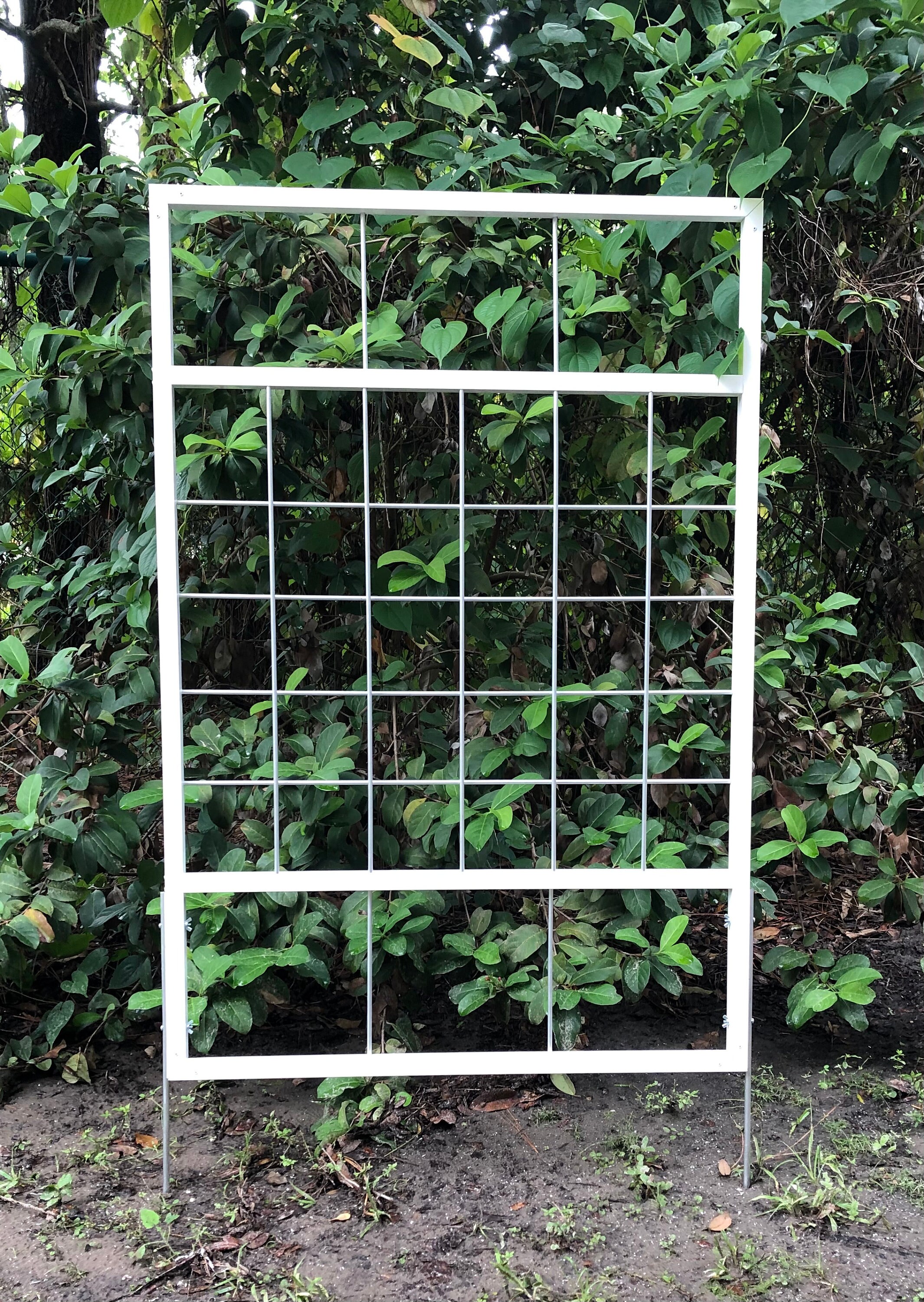 Garden Trellis for sale | Only 4 left at -75%