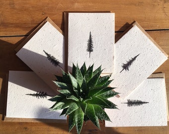 5x Pack - Pine Tree Card - Plantable Wildflower Seed Paper | Hand Drawn, Pen & Ink Note Card