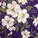 Peter Pan Fabrics Oichi San