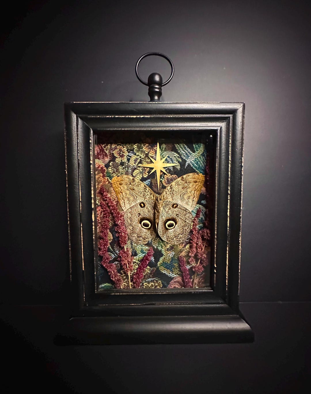Butterfly Shadowbox Frame Giant Owl Butterfly - Etsy