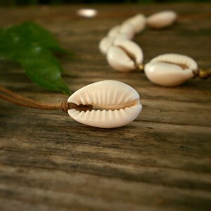 Da Hawaiian Store Small Cone Puka Shell Choker Necklace 16-17 Length