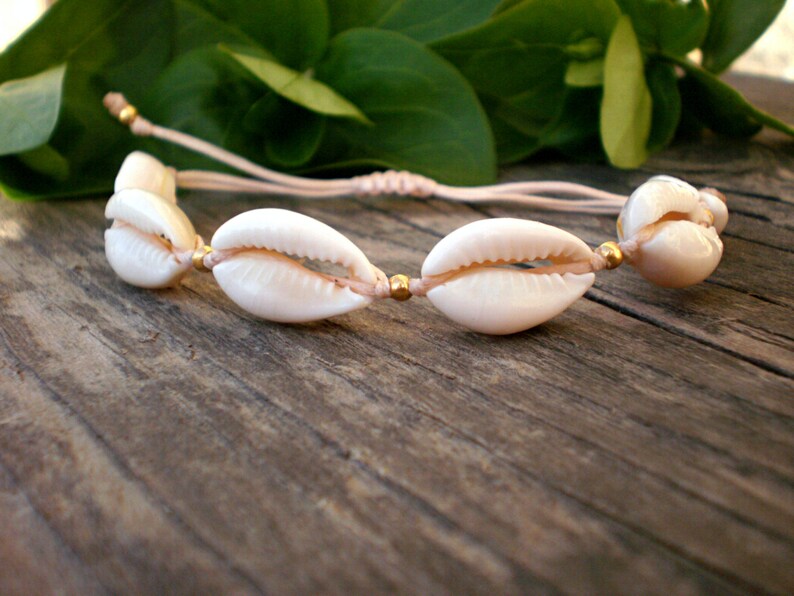 cowrie shell bracelet, seashell beach jewelry. natural sea shell accessories adjustable. hawwai delicate boho wedding gift for bridesmaid image 1