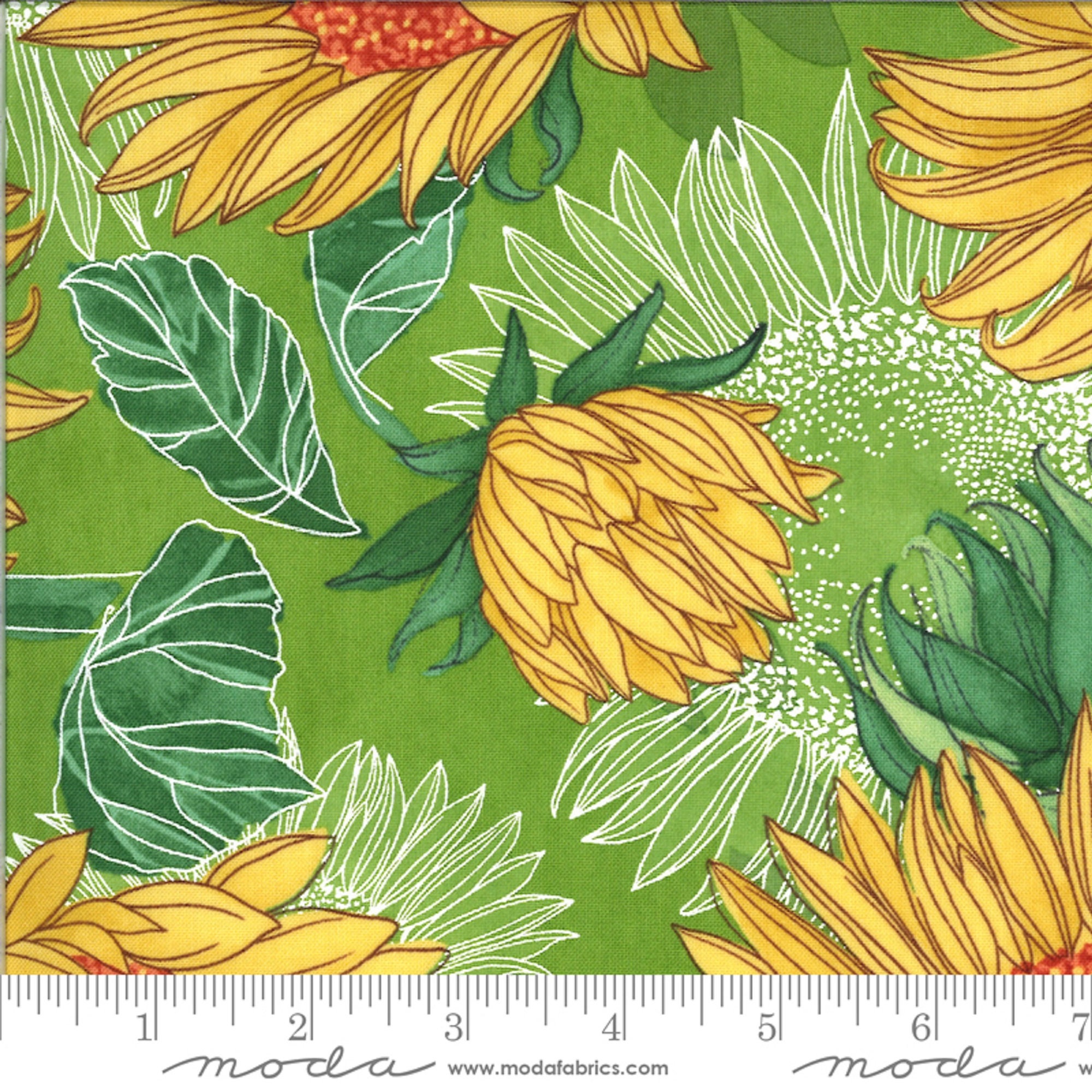 Solana Sunflowers Sprout by Robin Pickens Moda Fabrics Etsy