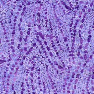 May include: Abstract pattern with a repeating design of purple and white shapes. The shapes vary in size and are arranged in a dense, textured composition. The color palette is dominated by shades of purple and white, creating a visually interesting surface.