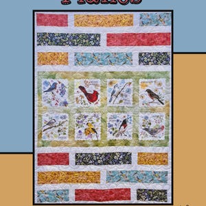 May include: A quilt pattern titled Horizontal Planes by Molly Cook for Villa Rosa Designs. The quilt features rectangular strips in red, yellow, and blue floral patterns surrounding a central grid of eight square blocks depicting various birds.