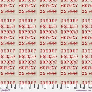 Tim Holtz-paletprogramma: rode typografie: verkocht op maat