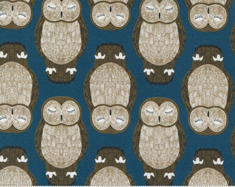 Nocturnal- Sleeping Owls- Lake / Sold by the 1/2 Yard - Cut Continuously