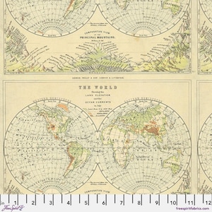 Programa de paletas de Tim Holtz - Mapa verde: Se vende por media yarda