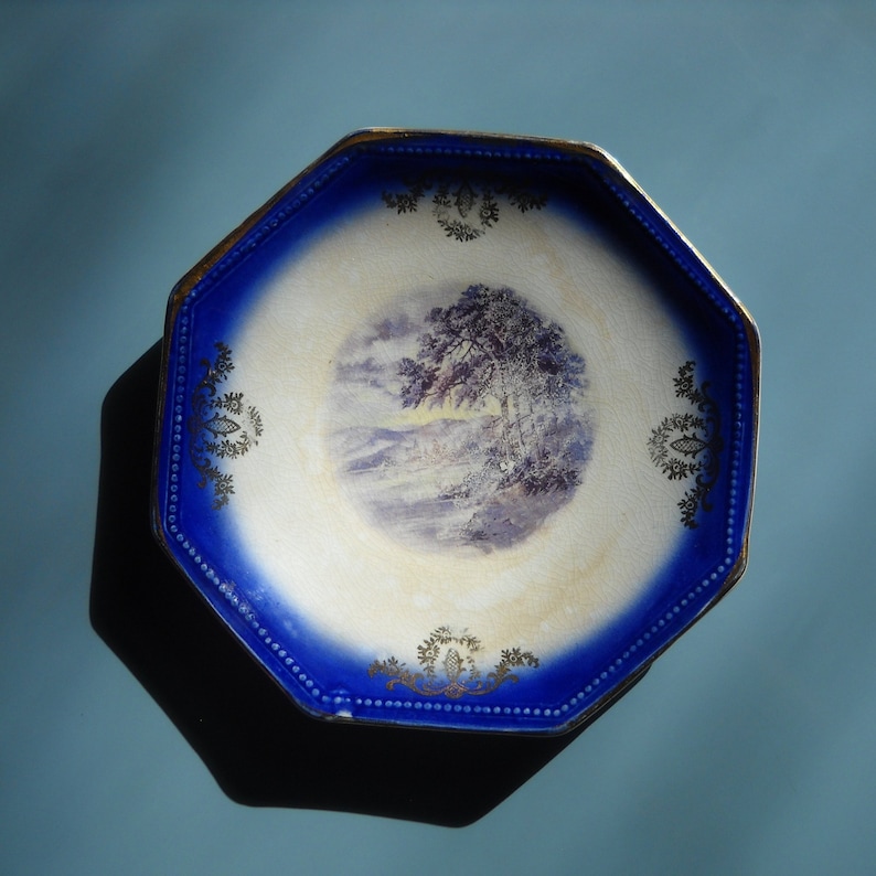 Antique flow blue La Francaise tree river hills,with gold edging
