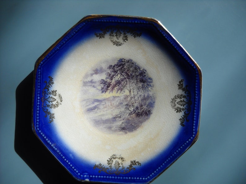 Antique flow blue La Francaise tree river hills,with gold edging