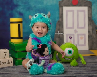 Sullivan Monster / University of Monsters / Photo shoot costume / is made to order