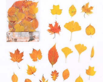 40Pcs/bag Plant Flower Mushroom Ginkgo Diary Stickers Decorative wall Stationery 40Pcs/bag Plant Flower Mushroom Ginkgo Diary Stickers Decorative wall Stationery