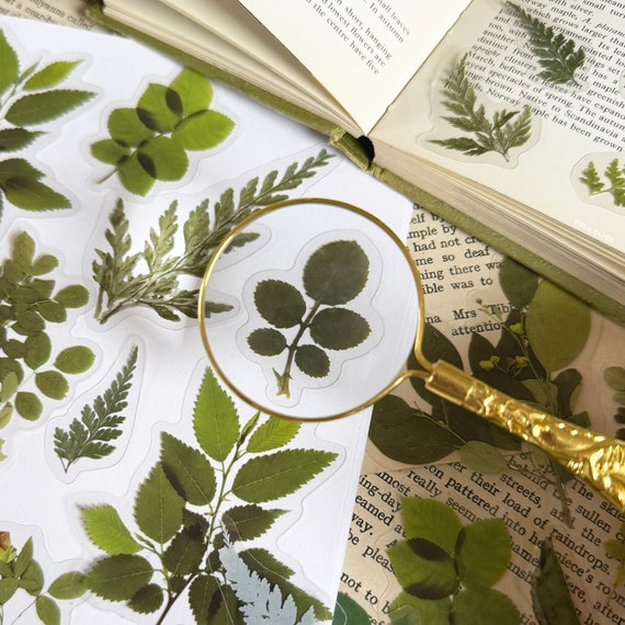 Scrapbooking Leaves Flower Decorative Stickers Vintage Diary Sticker  40pcs/set