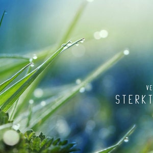 Sterkte