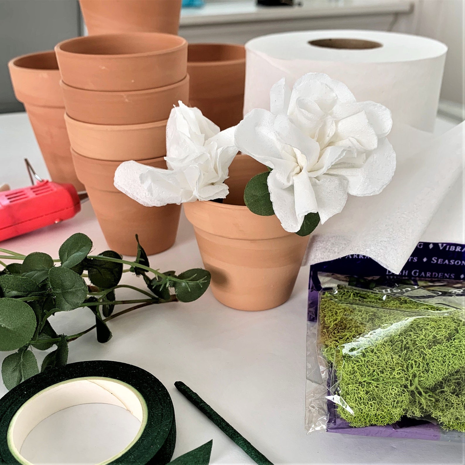 Funny Quarantine Gift Toilet Paper Plant in Clay Flower