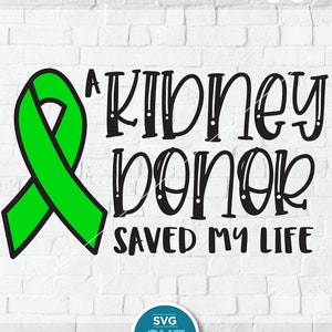 Kidney donor svg, kidney donation svg, a kidney donor saved my life, kidney disease, green ribbon, kidney transplant, awareness svg, organ