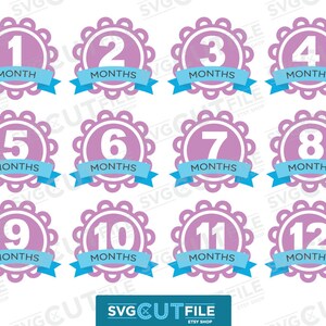 Baby milestone svg, baby month svg, baby months svg, baby month stickers svg, svg bundle, svg dxf png, milestone svg, baby milestones svg
