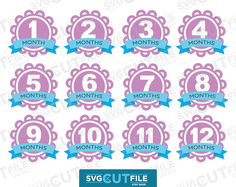 svg bundle baby month svg baby month stickers svg milestone svg Baby milestone svg baby milestones svg baby months svg svg dxf png
