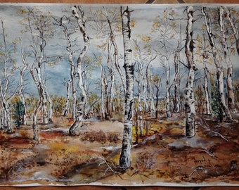 Siberian Birch Trees