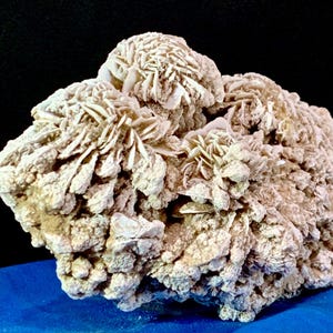 Arizona Desert Rose Selenite Formation with Display Stand