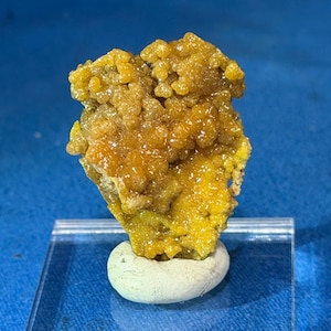 May include: A vibrant, yellow-orange mineral specimen with a bubbly, crystalline structure. The mineral sits atop a small, white, rounded base, mounted on a clear, rectangular acrylic stand. The background is a solid, deep blue.