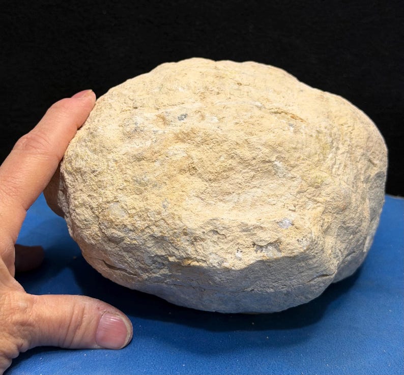 Sugar Crystal Sand Geode (both Halves) From the Sahara Desert (over 5 ...