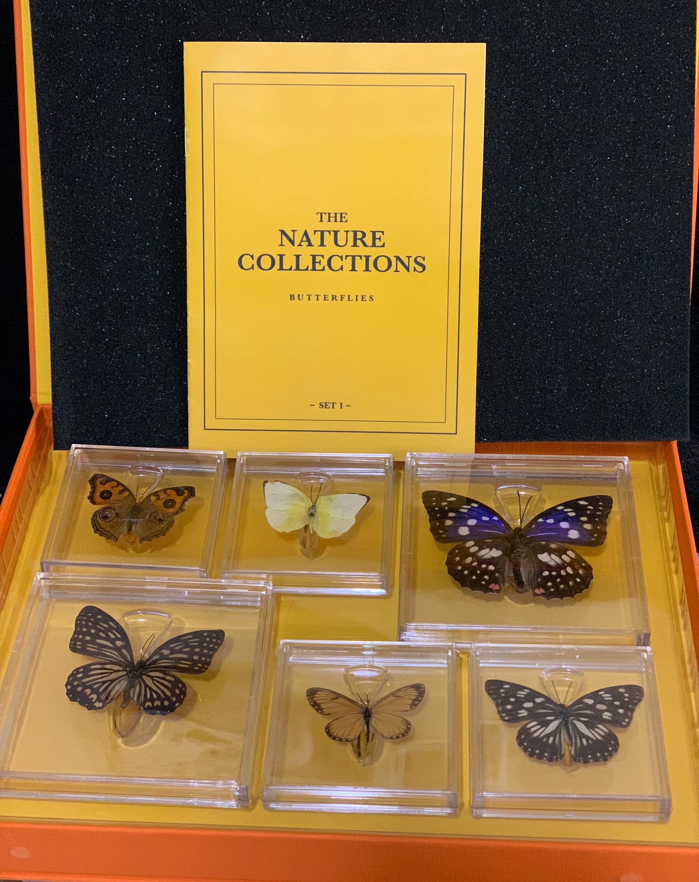 The Nature Collections (butterflies Set # 1) Lepidoptery - Etsy