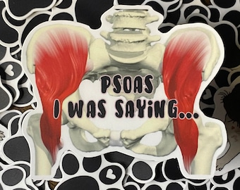 Funny Anatomy Hip Muscle Sticker | Physical Therapy Humor Vinyl Decal for PTs, Students & Medical Nerds