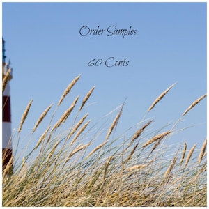 May include: A close-up of tall, dry grass blowing in the wind with a lighthouse in the background. The text "Order Samples 60 Cents" is written in black cursive on a blue sky.