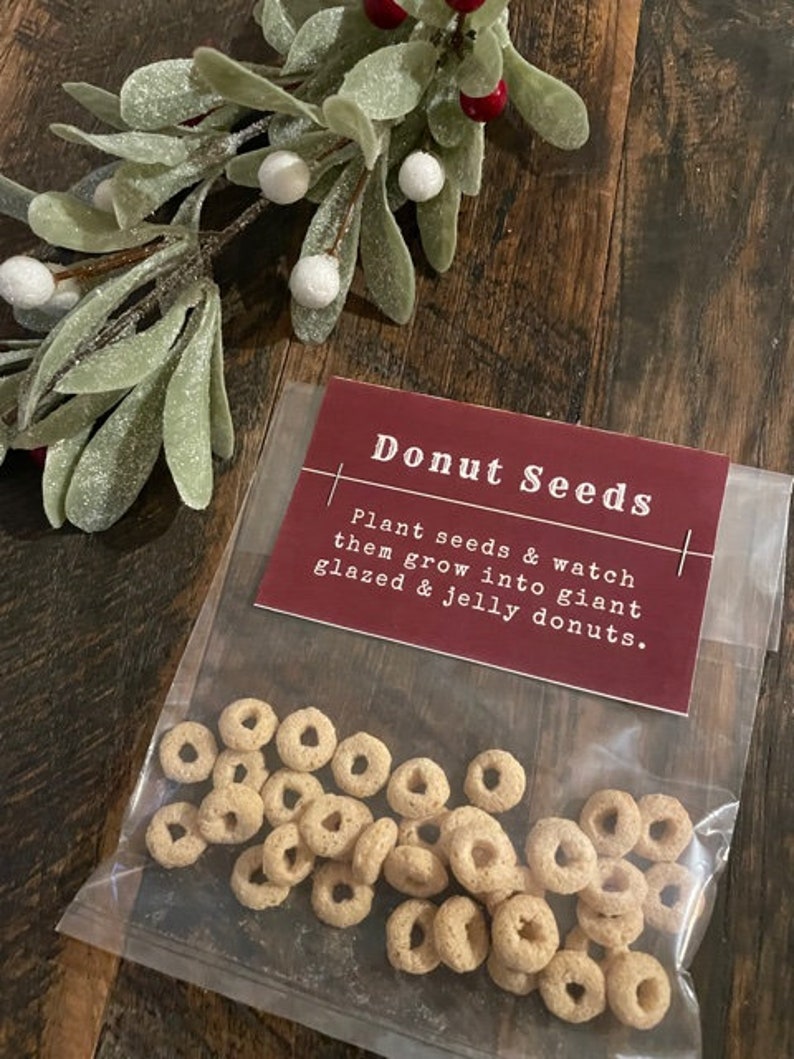 Forget The Store! Grow Your Own Donut Garden Today! - jhre0aj