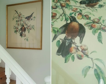 Huge Vintage Art 1940s 1950s Cecil Golding Bird Print, Lithograph