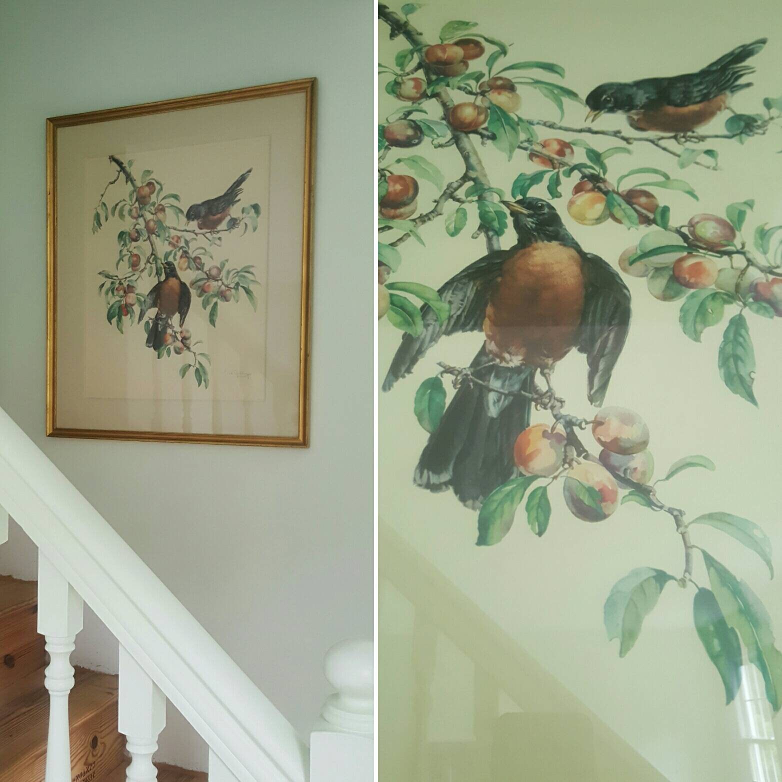 Huge Vintage Art 1940s 1950s Cecil Golding Bird Print