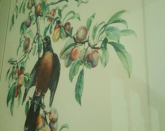 セシル・ゴールディング（Cecil Golding）プリントアート 2点セット CECIL GOLDING BIRD PRINTS NEW YORK GRAPHIC SOCIETY, 1940