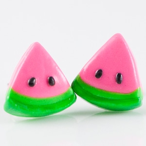 Pink Watermelon Earrings, Pink Watermelon Studs, Pink Watermelon Jewelry, Pink Watermelon Gift, Fruit Earrings, Fruit Studs, Titanium Studs