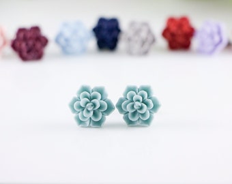 Suculentos Studs, Pendientes Suculentos, Regalos Suculentos, Joyería Suculenta, Studs Simples, Studs Minimalistas, Studs de Flores, Studs de Plantas