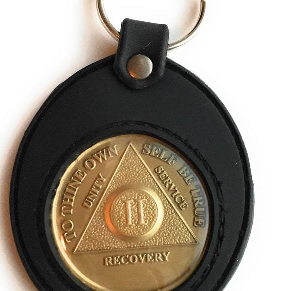 1 - 65 Year AA Medallion In Coin Holder Keychain Black Soft Silicone