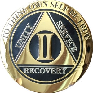 2 Year AA Medallion Elegant Black and Gold and Silver Plated Sobriety Chip