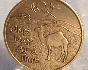 Camel In The Desert Medallion Sobriety Chip AA One Day At A Time Gift Camel Poem Coin