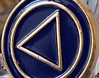 May include: A gold-coloured pin with a blue enamel circle and a gold triangle inside. The triangle is pointing to the right.