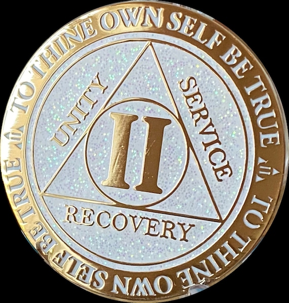 Blue Butterfly Sobriety Chip With White Silicone Keychain Holder - Recovery Gift