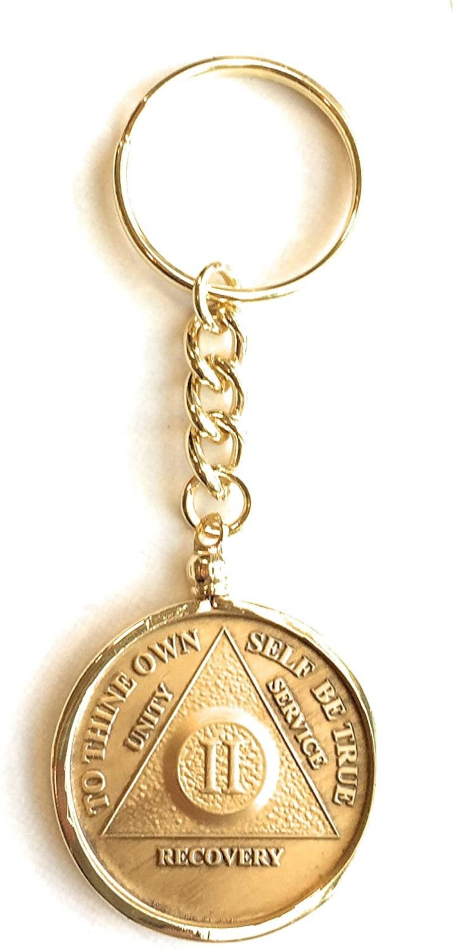 AA Medallion Keychain Chip Holder Fits Wendells Sobriety Coins Etsy