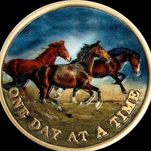 Braune Pferde galoppieren eines Tages in einer Zeit Medaillon Serenity Peace Within Storm Coin
