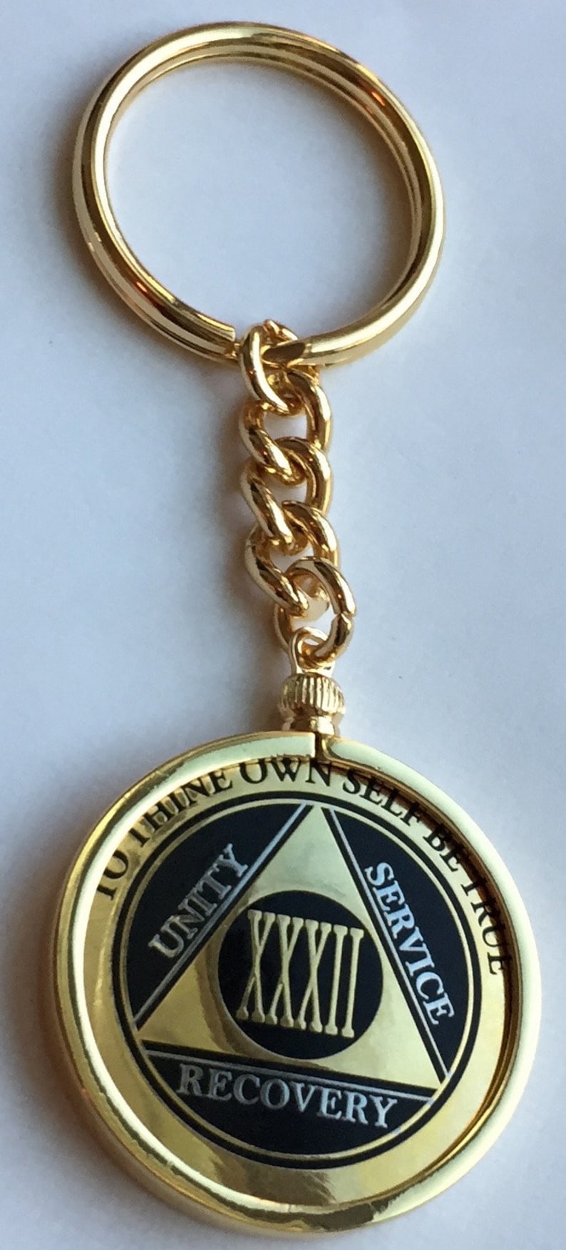 AA Medallion Keychain Chip Holder Fits Recoverychip Reflex And Etsy