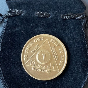 1 - 11 or 18 Month Bronze AA Medallion With Velveteen Bag For Your Sobriety Chip