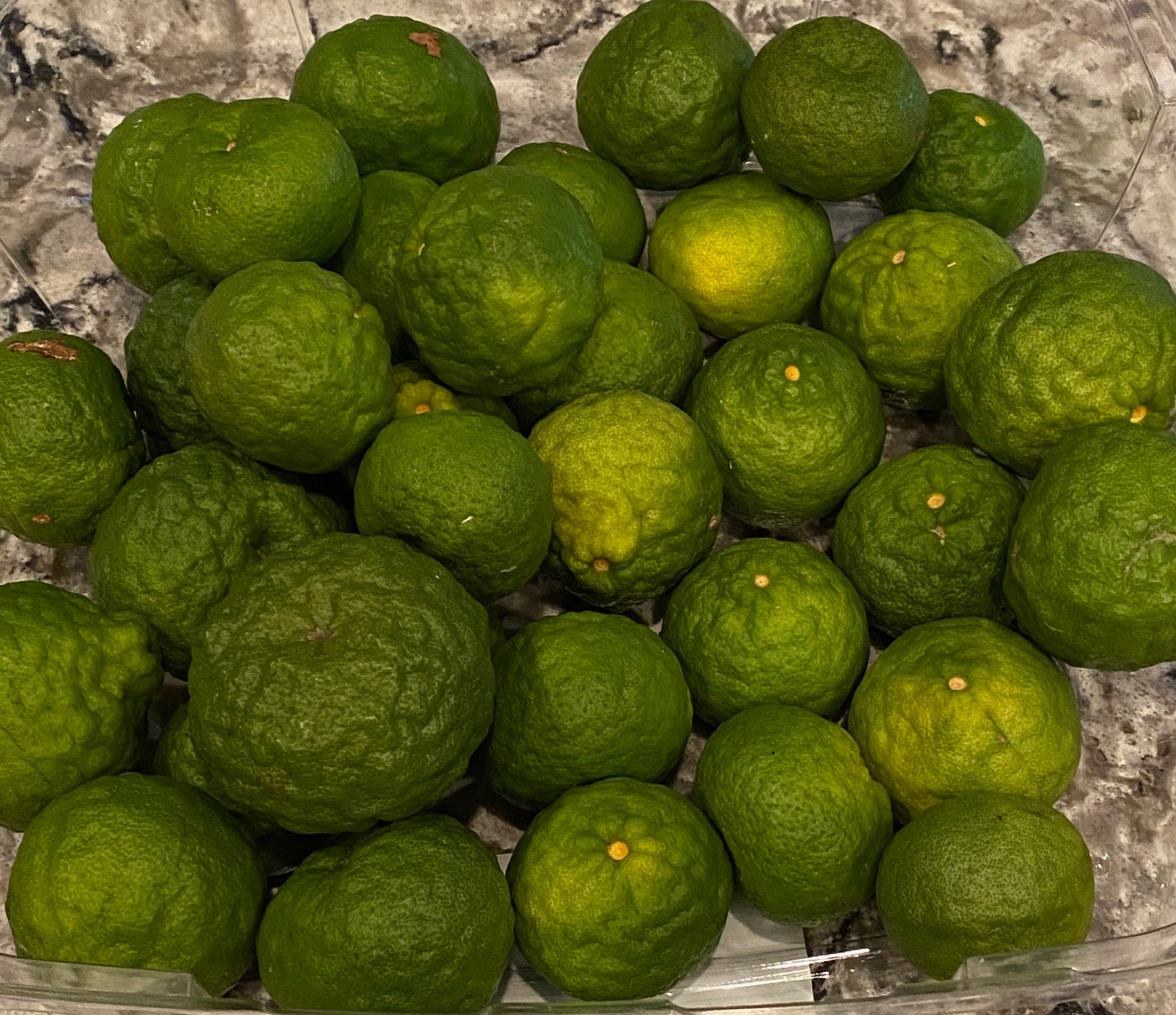 Fresh Kaffir Lime Leaves Organic By GreenHouseBotanical On Etsy