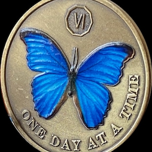 1 2 3 4 5 6 7 8 9 of 10 Jaar Kleur Blauw Vlinder Eén dag tegelijk Medaillon Sereniteit Gebed Bronzen Chip