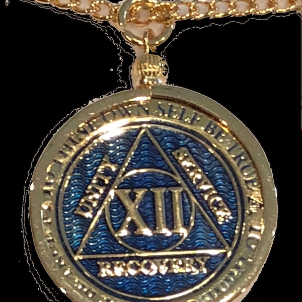 AA Medallion Holder Necklace Fits Recoverychip Reflex and Elegant Line Of Sobriety Chips 33x3mm