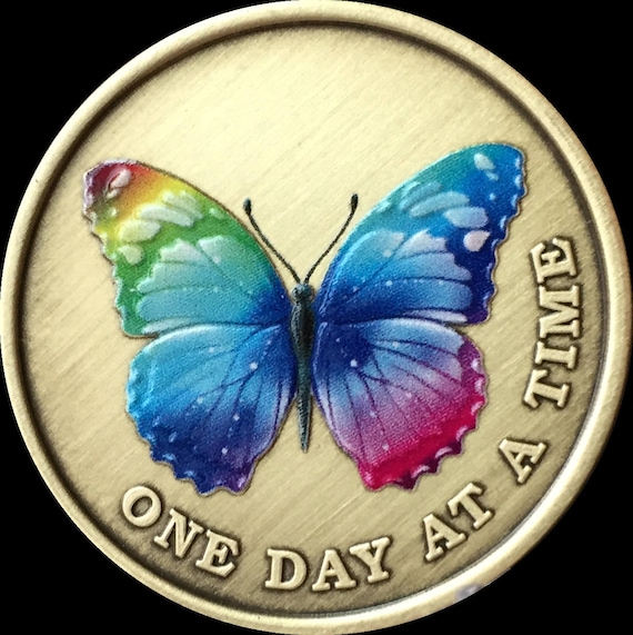 Butterfly Color One Day At A Time Medallion AA NA Serenity Prayer Sobriety Coin