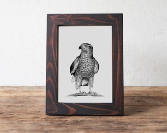 Havikprint: vingerafdrukballonkunst, mascottecadeau